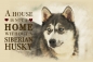 Preview: Nostalgieschild - Hundeschild im Retrostil Motiv: Siberian Husky (Sibirischer Husky) #2